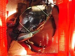 -龙海鲜螃蟹王(宏茂桥店)