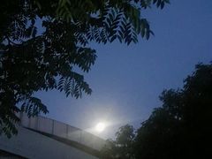 -金陵中学(河西分校)