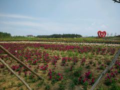 android_upload_pic-北纬44度·金珠花海休闲农业旅游景区