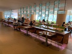 -芽庄喜来登水疗酒店