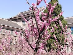 -山东师范大学(千佛山校区)