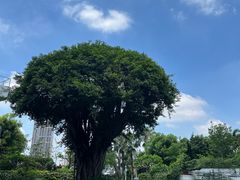 -白天鹅宾馆-健身中心