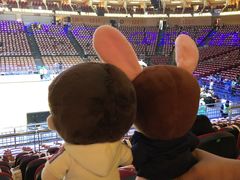 -宝能国际体育演艺中心