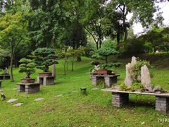 -盆景园(扬州大运河文化旅游度假区)