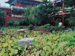 -大明幻境第一城