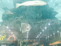 -鸿通城购物中心