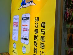 -龟与熊猫宠物公园(南坪店)