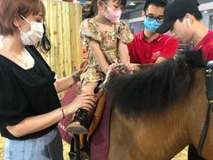 -李振强马术运动推广中心(南城店)