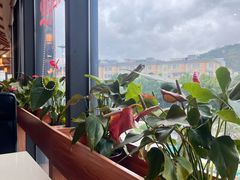 -粤点越有·茶点·粤菜(樵岭国际店)