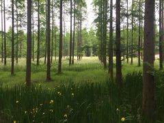 -黄海国家森林公园