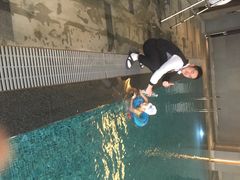 金茂凯悦酒店-上海崇明金茂凯悦酒店