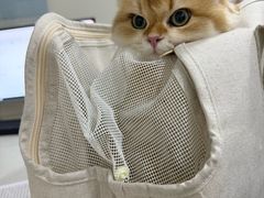 -佳雯宠物医院·皮肤科·内外科(春晓路分院)