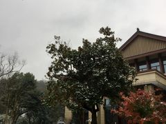 -杭州花家山庄