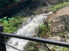 -呀诺达热带雨林