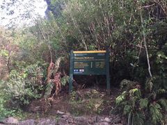 -怀托摩萤火虫洞