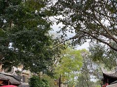 -黄龙溪古镇