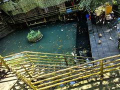 -海南槟榔谷黎苗文化旅游区