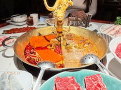 -小龙翻大江文化火锅(宽窄店)