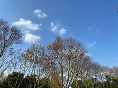 -上海野生动物园