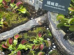 -国家植物园南园