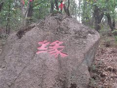 -六里坪国家森林公园