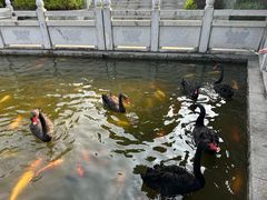 -广州莲花山旅游区