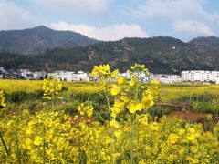 -新安江山水画廊风景区