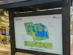 -大兴滨河森林公园