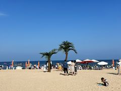 -巧克力渔家.小船海鲜家常菜(万平口店)