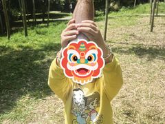 -苏州上方山国家森林公园