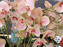 -八府香鸭·啫啫煲(华山路店)