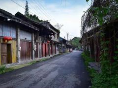 -郫都区农科村景区