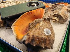 -鱼满舱·鲜活海鲜·正宗鲁菜
