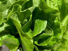 -古乐牛香·鲜牛肉牛杂火锅(新区店)