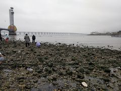 -星海湾跨海大桥