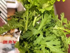 -蜀九香火锅(九眼桥店)