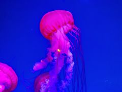 -波塞冬旅游度假区