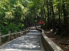 -灵岩山风景区