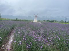 -臻品足道(后湖店)