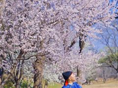 -圆明园遗址公园-藻园门售票处