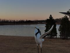 -盐城丹顶鹤湿地生态旅游区