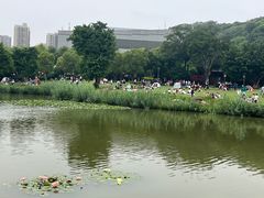 -牛岗山公园