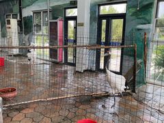 -武清南湖绿博园