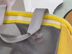 -瑞鹏宠物医院·宠保定点·心脏科·内科(御桥分院)
