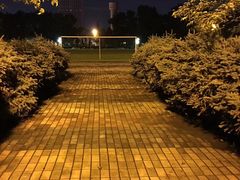 -黑龙江大学