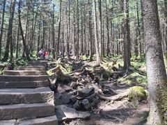 -芦芽山旅游度假区
