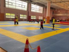 -武术世家少儿培训中心(首都体育学院店)