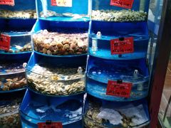 -北戴河庆山饭店·海鲜砂锅粥(北戴河黑石路店)