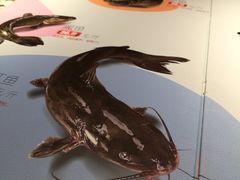 -鱼酷活鱼烤鱼(沈阳大悦城店)