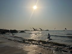 -老虎石海上公园